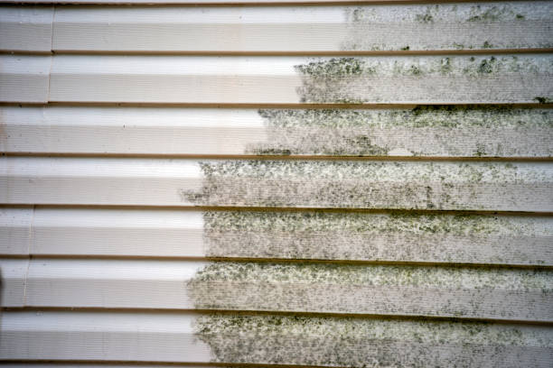 Best Foreclosure Cleanout  in Springfield, FL